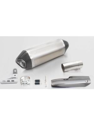 HEXACONE CARBON heat protecting shield for BMW R 1200 R/RS, titanium